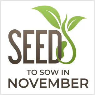 What Seeds to Sow When...